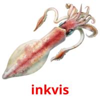 inkvis picture flashcards