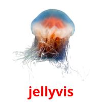 jellyvis card for translate