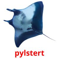 pylstert picture flashcards