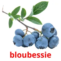 bloubessie Bildkarteikarten