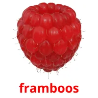 framboos Bildkarteikarten