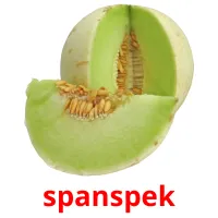 spanspek Bildkarteikarten