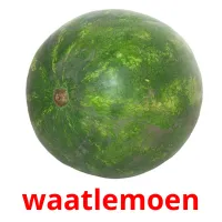 waatlemoen Bildkarteikarten