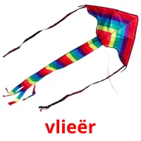 vlieër picture flashcards