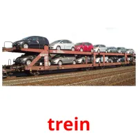 trein Tarjetas didacticas