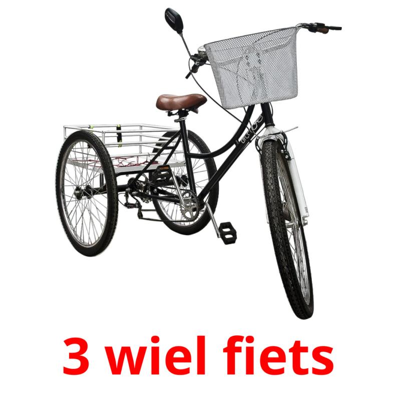 3 wiel fiets picture flashcards