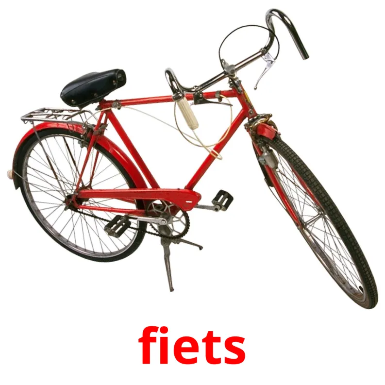 16 FREE Bicycle transport Flashcards PDF Afrikaans Words