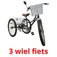 3 wiel fiets Tarjetas didacticas