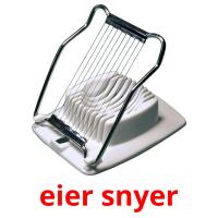 eier snyer picture flashcards
