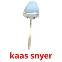 kaas snyer picture flashcards