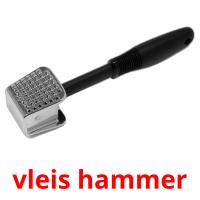 vleis hammer picture flashcards