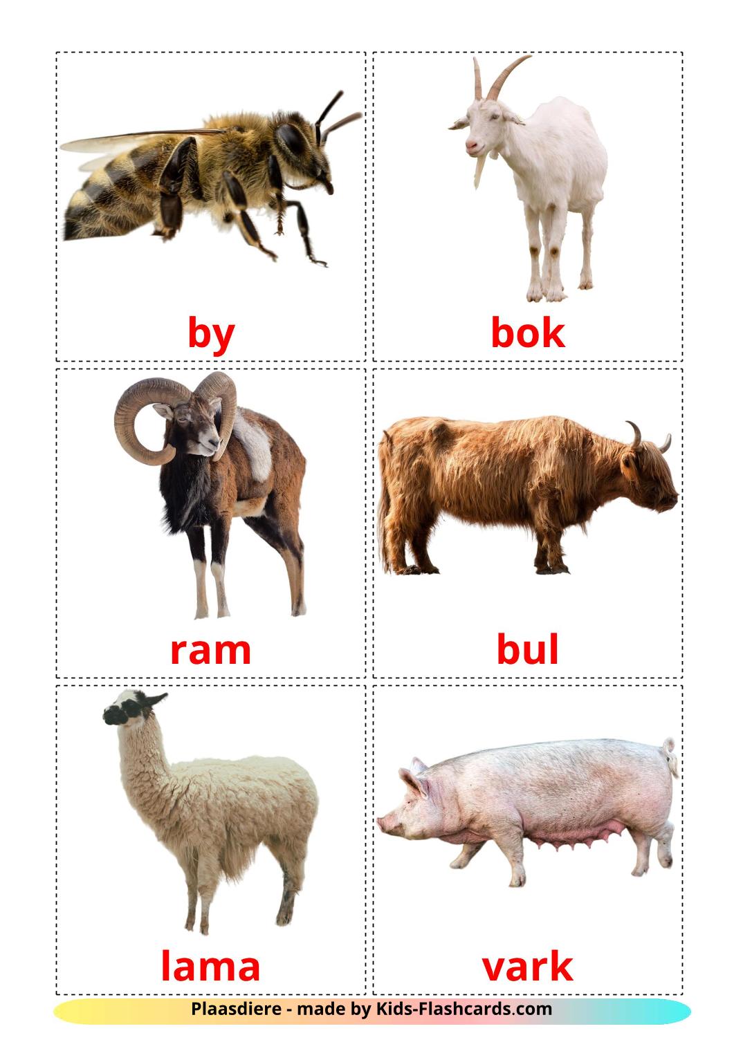 Farm animals - 15 Free Printable afrikaans Flashcards 