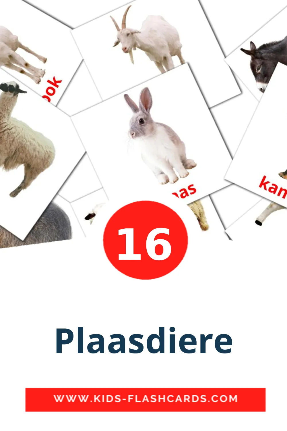 16 cartes illustrées de Plaasdiere pour la maternelle en afrikaans