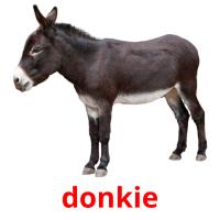 donkie card for translate