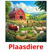 Plaasdiere flashcards illustrate