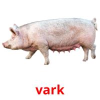 vark picture flashcards