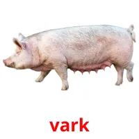 vark cartes flash