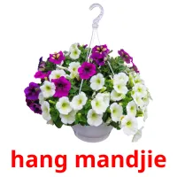 hang mandjie ansichtkaarten