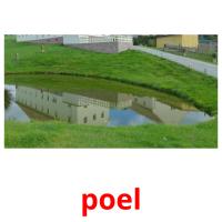 poel picture flashcards