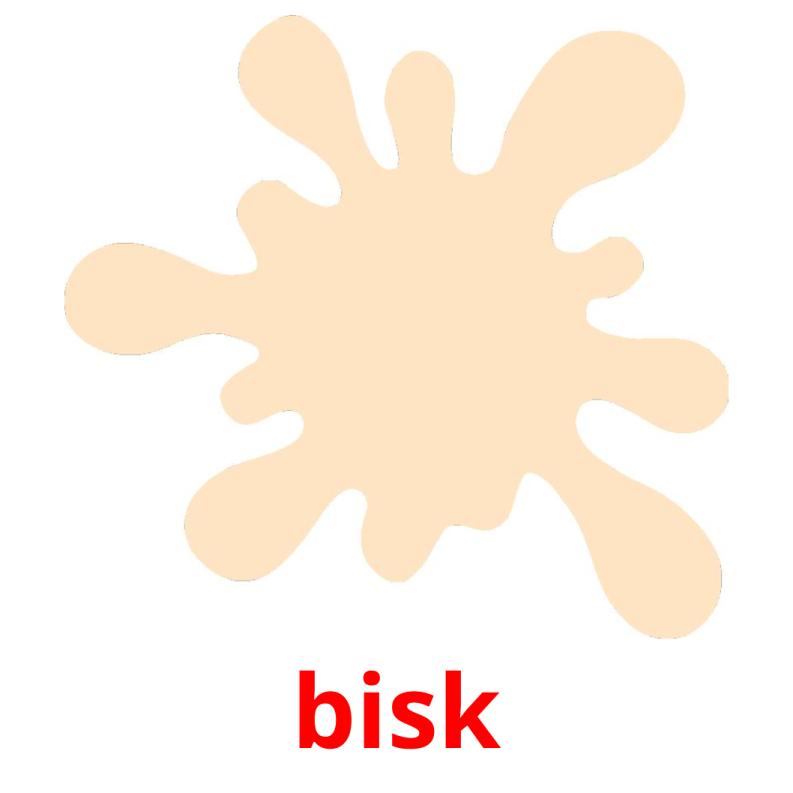 bisk picture flashcards