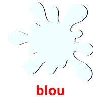 blou picture flashcards