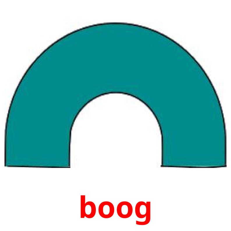 boog picture flashcards