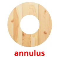 annulus picture flashcards