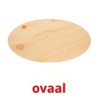 ovaal picture flashcards