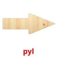 pyl picture flashcards