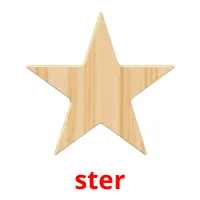 ster picture flashcards