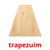 trapezuim picture flashcards