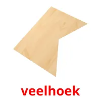 veelhoek picture flashcards