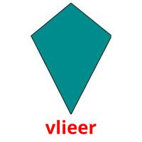 vlieer picture flashcards