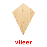 vlieer picture flashcards