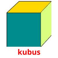 kubus picture flashcards