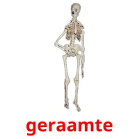 geraamte cartões com imagens