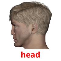 head picture flashcards