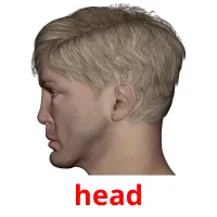 head cartões com imagens