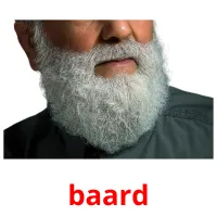 baard Tarjetas didacticas