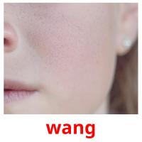 wang picture flashcards