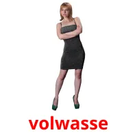 volwasse Bildkarteikarten