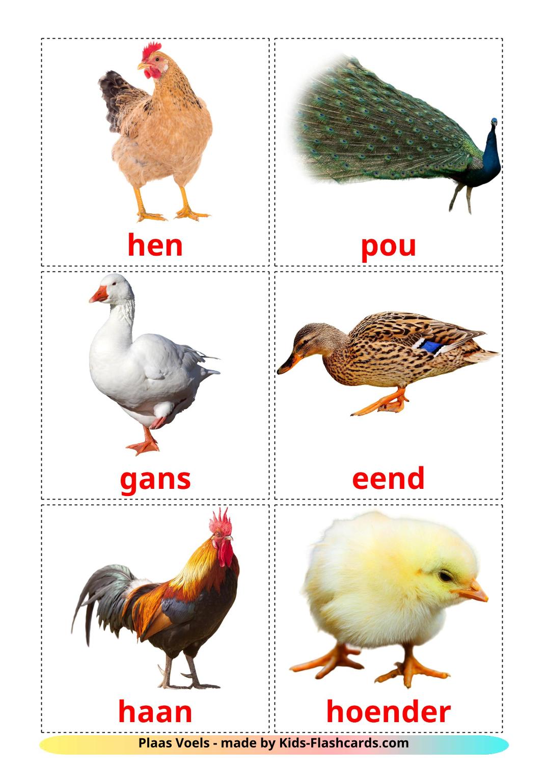 Les Oiseaux de Ferme - 11 Flashcards afrikaans imprimables gratuitement