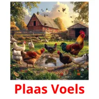 Plaas Voels Tarjetas didacticas