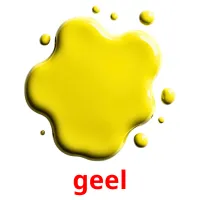 geel flashcards illustrate