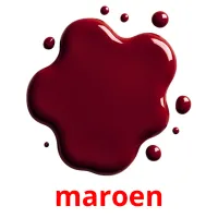 maroen picture flashcards