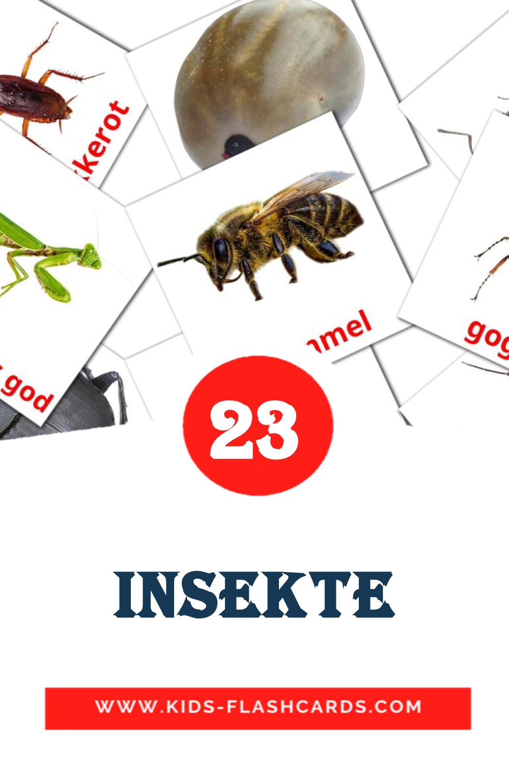 23 cartes illustrées de Insekte pour la maternelle en afrikaans