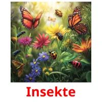 Insekte picture flashcards