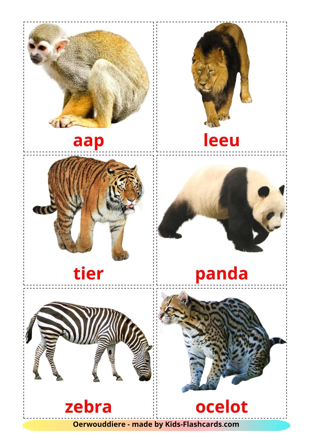 Jungle animals - 22 Free Printable afrikaans Flashcards 