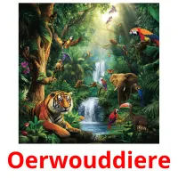 Oerwouddiere Bildkarteikarten