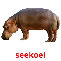 seekoei picture flashcards